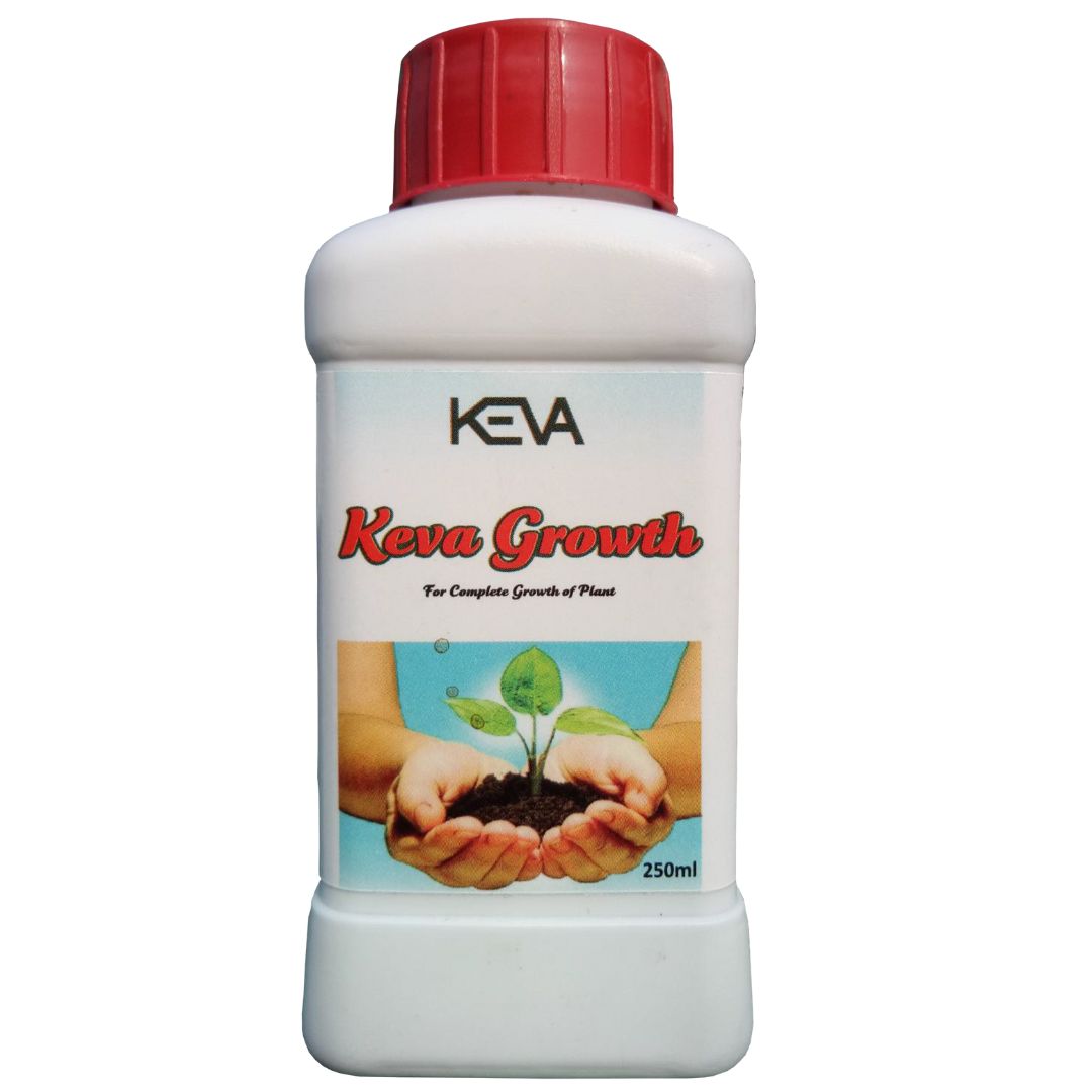 Keva Kaipo Growth